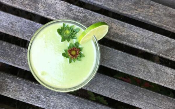 Avocado Daiquiri