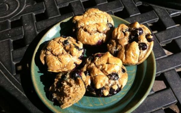 Easy Low-Carb Lemon Blueberry Nut Butter Muffins