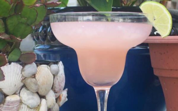 Frozen Wine Slushes – 3 Variations